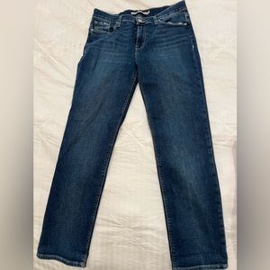 NWT Hudson Jeans size 29